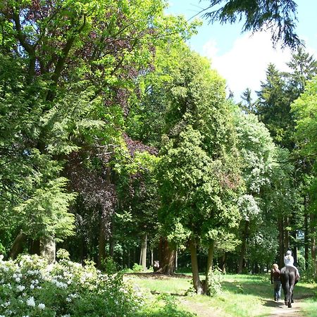 Parkhotel Smržovka Exterior foto