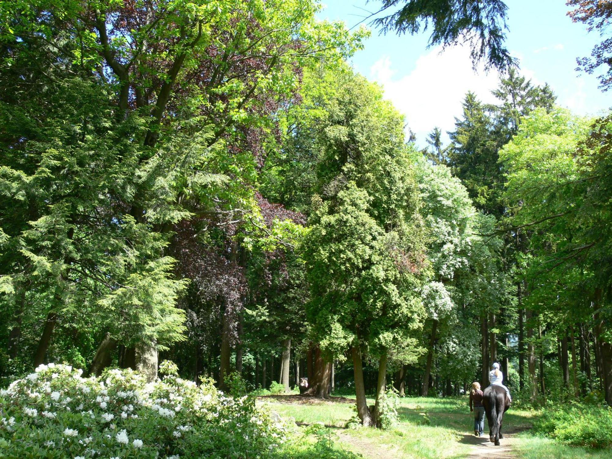 Parkhotel Smržovka Exterior foto